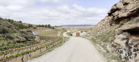 Camino Francés: Navarrete - Azofra