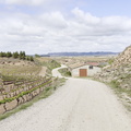 Camino Francés: Navarrete - Azofra
