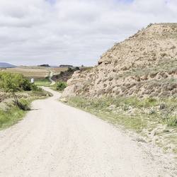 2024-04-29 - Camino Francés: Navarrete - Azofra