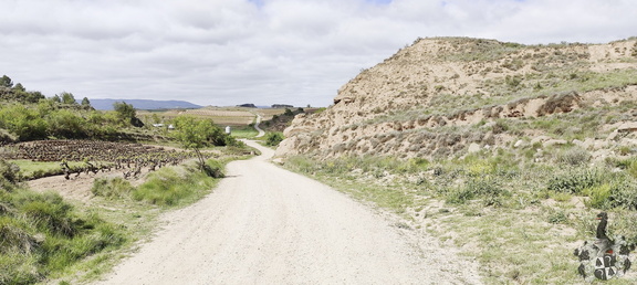 Camino Francés: Navarrete - Azofra