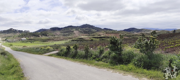 Camino Francés: Navarrete - Azofra