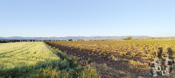 Camino Francés: Azofra - Santa Domingo de la Calzada
