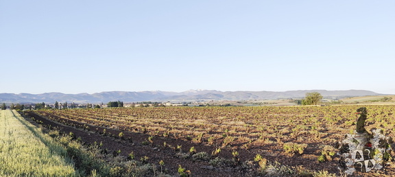 Camino Francés: Azofra - Santa Domingo de la Calzada