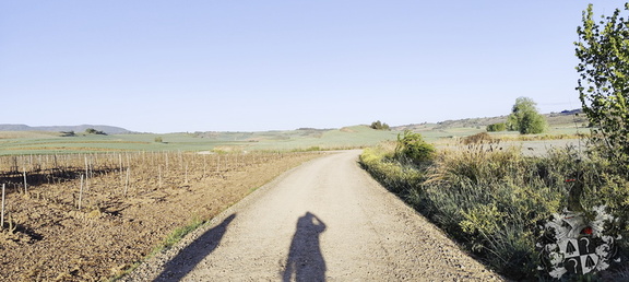 Camino Francés: Azofra - Santa Domingo de la Calzada