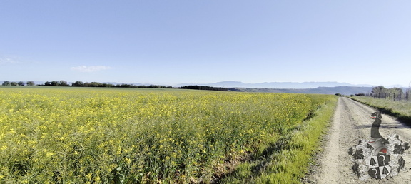 Camino Francés: Azofra - Santa Domingo de la Calzada