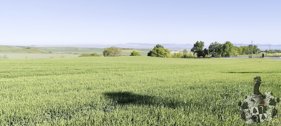 Camino Francés: Azofra - Santa Domingo de la Calzada