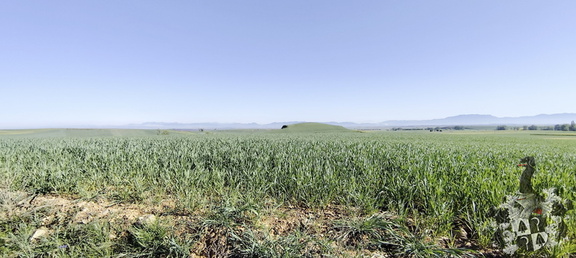 Camino Francés: Azofra - Santa Domingo de la Calzada