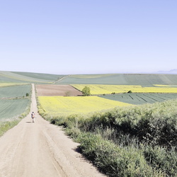 2024-04-30 - Camino Francés: Azofra - Santa Domingo de la Calzada