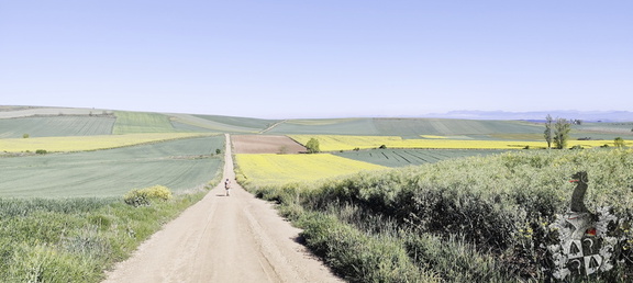 Camino Francés: Azofra - Santa Domingo de la Calzada