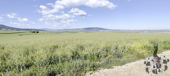 Camino Francés: Azofra - Santa Domingo de la Calzada