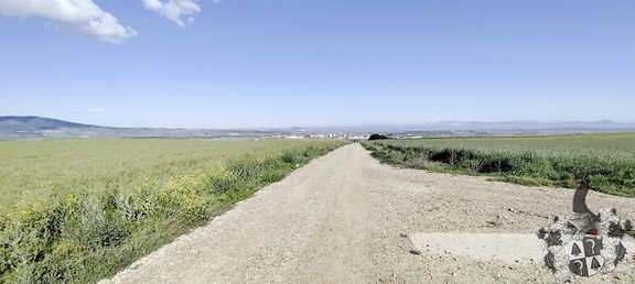 Camino Francés: Azofra - Santa Domingo de la Calzada