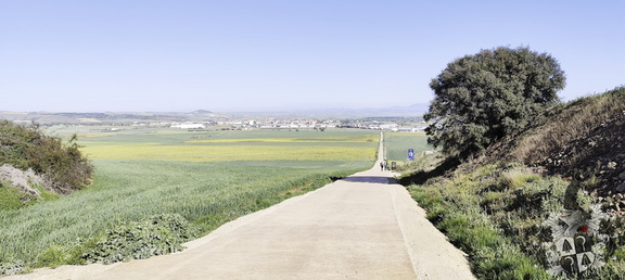 Camino Francés: Azofra - Santa Domingo de la Calzada
