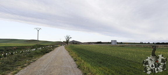 Camino Francés: Santa Domingo de la Calzada - Belorado
