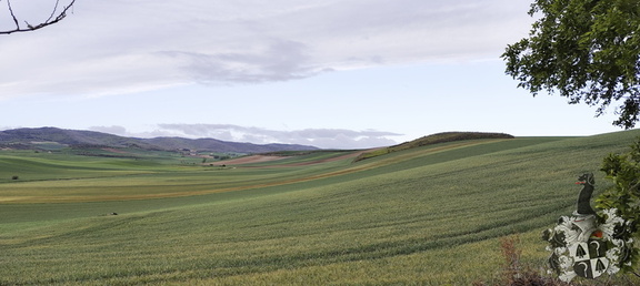 Camino Francés: Santa Domingo de la Calzada - Belorado
