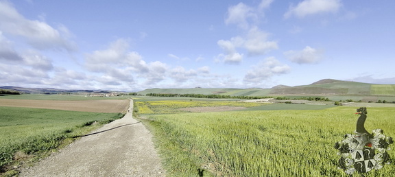 Camino Francés: Santa Domingo de la Calzada - Belorado