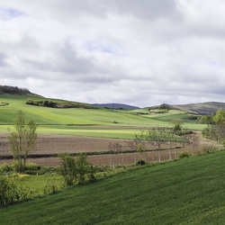 2024-05-01 - Camino Francés: Santa Domingo de la Calzada - Belorado