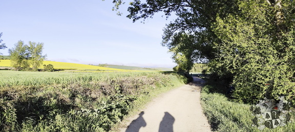 Camino Francés: Belorado - Villafrance Montes de Oca