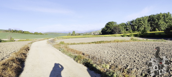 Camino Francés: Belorado - Villafrance Montes de Oca