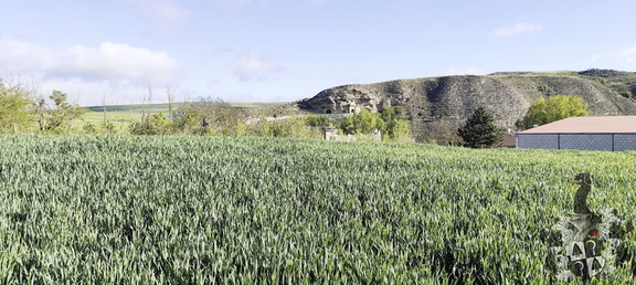 Camino Francés: Belorado - Villafrance Montes de Oca