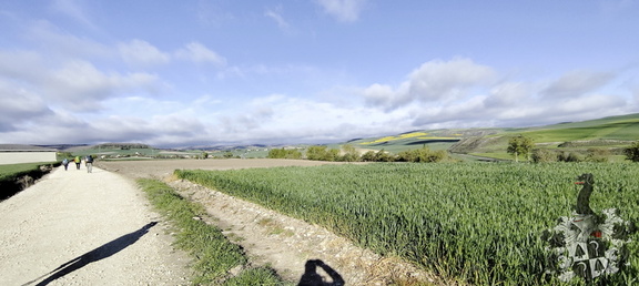 Camino Francés: Belorado - Villafrance Montes de Oca