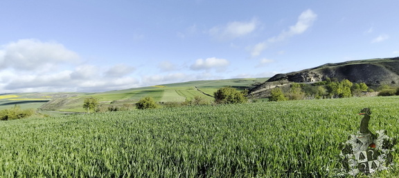 Camino Francés: Belorado - Villafrance Montes de Oca