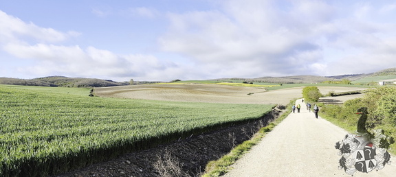 Camino Francés: Belorado - Villafrance Montes de Oca
