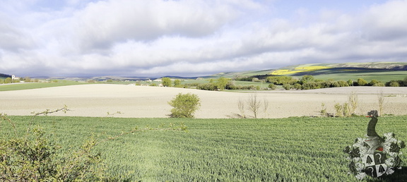 Camino Francés: Belorado - Villafrance Montes de Oca