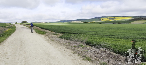 Camino Francés: Belorado - Villafrance Montes de Oca