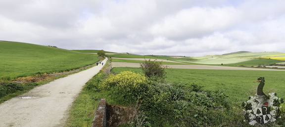 Camino Francés: Belorado - Villafrance Montes de Oca