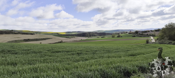 Camino Francés: Belorado - Villafrance Montes de Oca