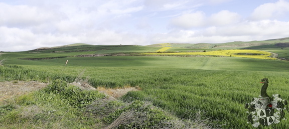 Camino Francés: Belorado - Villafrance Montes de Oca