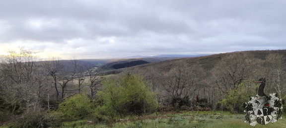 Camino Francés: Villafrance Montes de Oca - Cardeñuela-Riopico