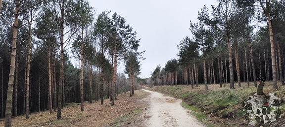 Camino Francés: Villafrance Montes de Oca - Cardeñuela-Riopico