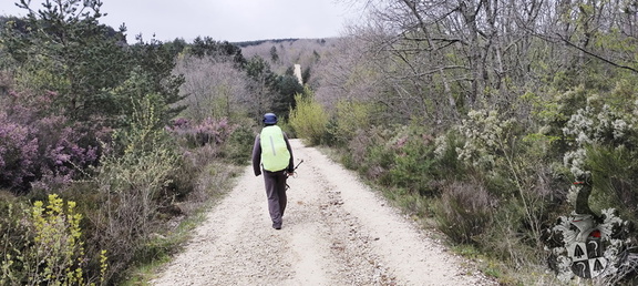 Camino Francés: Villafrance Montes de Oca - Cardeñuela-Riopico