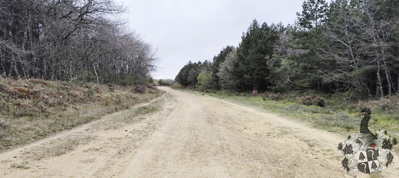 Camino Francés: Villafrance Montes de Oca - Cardeñuela-Riopico