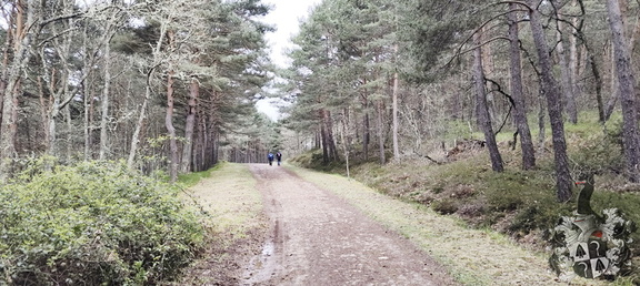 Camino Francés: Villafrance Montes de Oca - Cardeñuela-Riopico