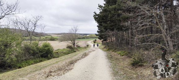 Camino Francés: Villafrance Montes de Oca - Cardeñuela-Riopico