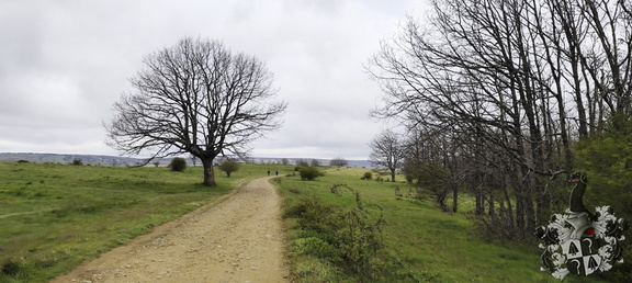 Camino Francés: Villafrance Montes de Oca - Cardeñuela-Riopico