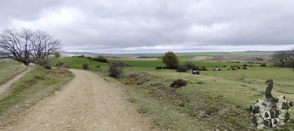 Camino Francés: Villafrance Montes de Oca - Cardeñuela-Riopico