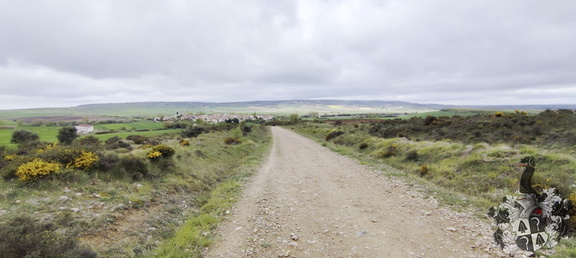 Camino Francés: Villafrance Montes de Oca - Cardeñuela-Riopico