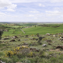 2024-05-03 - Camino Francés: Villafranca Montes de Oca - Cardeñuela-Riopico