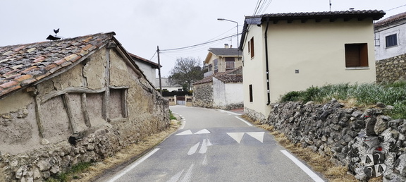 Camino Francés: Cardeñuela-Riopico - Burgos