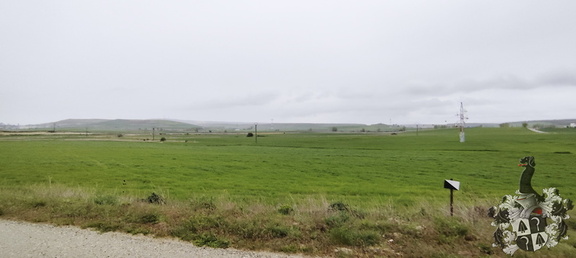 Camino Francés: Cardeñuela-Riopico - Burgos