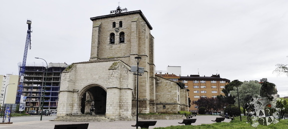 Camino Francés: Cardeñuela-Riopico - Burgos