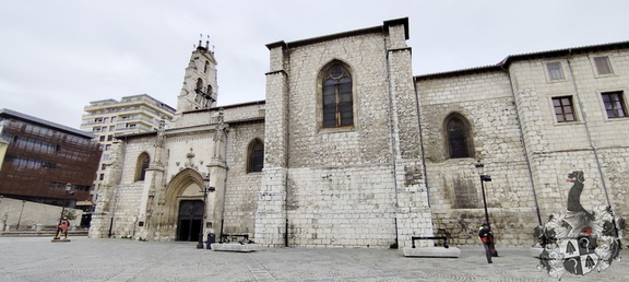 Camino Francés: Cardeñuela-Riopico - Burgos