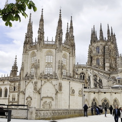 2024-05-04 - Camino Francés: Cardeñuela-Riopico - Burgos