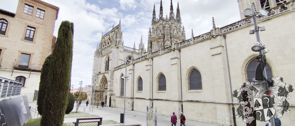 Camino Francés: Cardeñuela-Riopico - Burgos