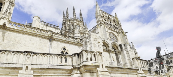 Camino Francés: Cardeñuela-Riopico - Burgos
