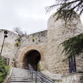 Camino Francés: Burgos - Rabé de las Calzadas