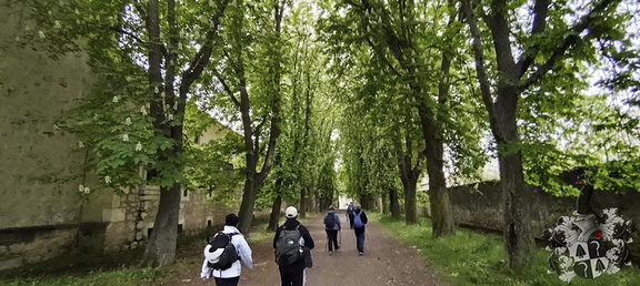 Camino Francés: Burgos - Rabé de las Calzadas